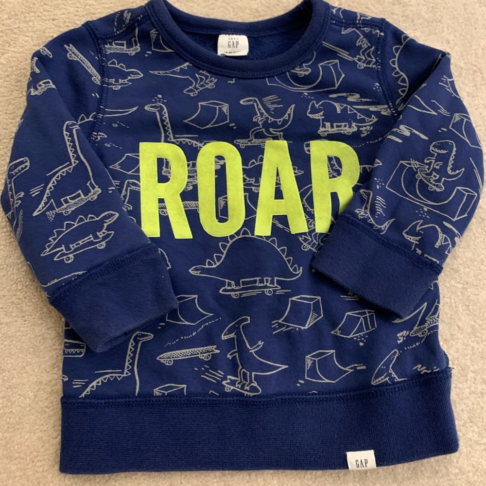 Toddler dinosaur sweatshirt